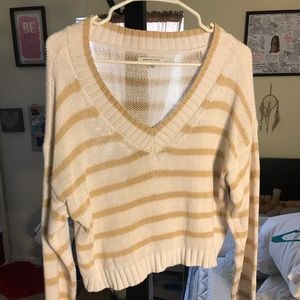 American Eagle Cropped Sweater